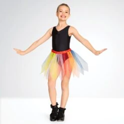 Rainbow Net Tutu Skirt