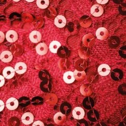 1st Position Sequinned Dress With Zig-Zag Fringed Hem -Revolution Sale Store fpc23025 rubyred 6