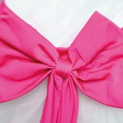 1st Position Scoop Neck Net Overlay Romantic Tutu With Contrasting Bow Trim 6 1st Position Scoop Neck Net Overlay Romantic Tutu With Contrasting Bow Trim -Revolution Sale Store fpc23042 whiteneonpink 6