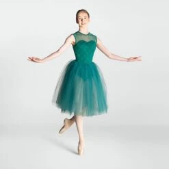 1st Position Lace Bodice Romantic Tutu 16 1st Position Lace Bodice Romantic Tutu -Revolution Sale Store fpc25100b gre april 2025 05