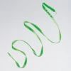 Gymnastic Ribbon With Wand 2 Gymnastic Ribbon With Wand -Revolution Sale Store green g4 green 2