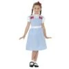 Child Gingham Pinafore Dress -Revolution Sale Store ua2433 1