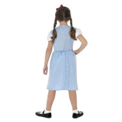 Child Gingham Pinafore Dress -Revolution Sale Store ua2433 3
